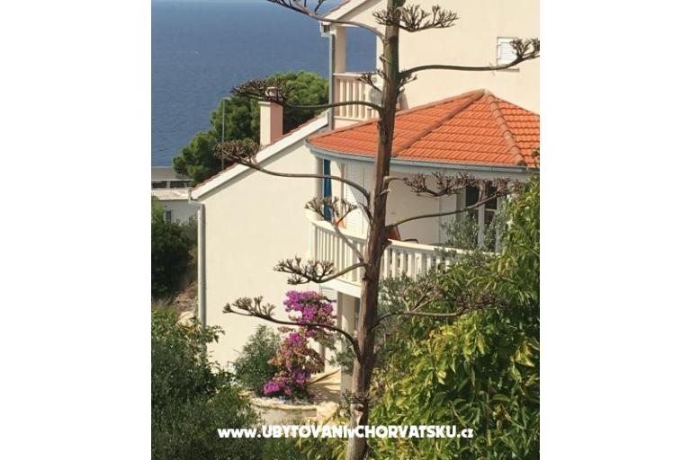 Apartments Panorama – photo 6