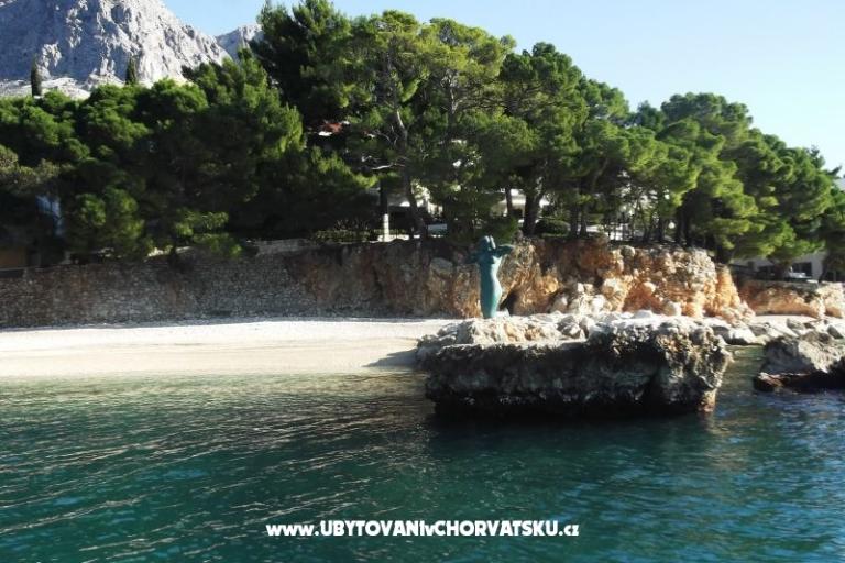 Apartments Zubac – photo 10