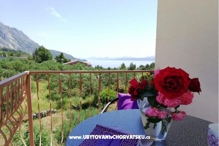 Apartments Zubac – photo 6