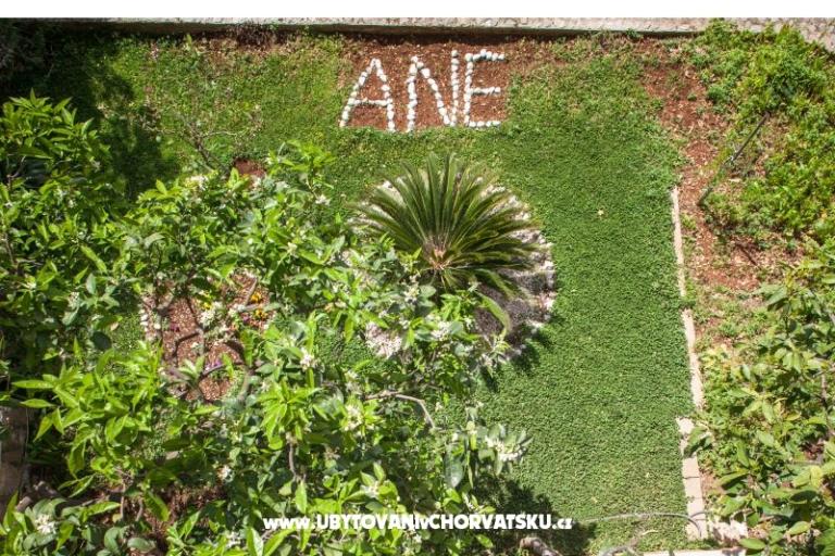 Apartments Ane – photo 8