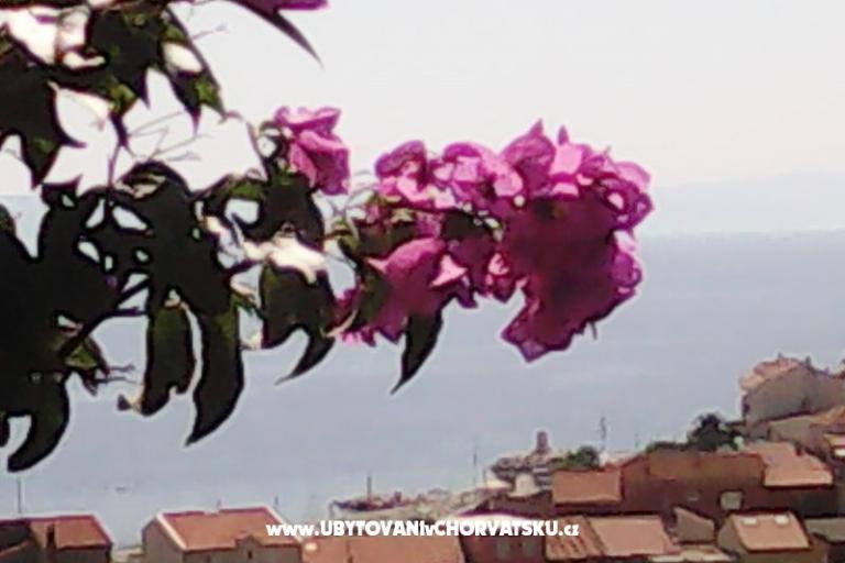 Apartments Kelava Željko – photo 16