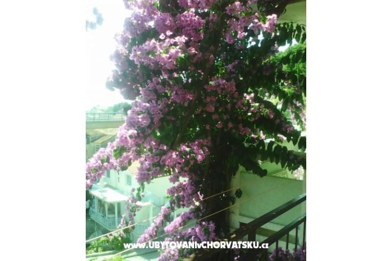 Apartments Kelava Željko – photo 8