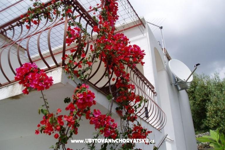 Apartment Vito – photo 2