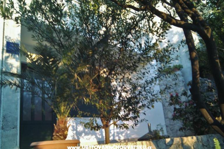 Apartments Brusje – photo 2