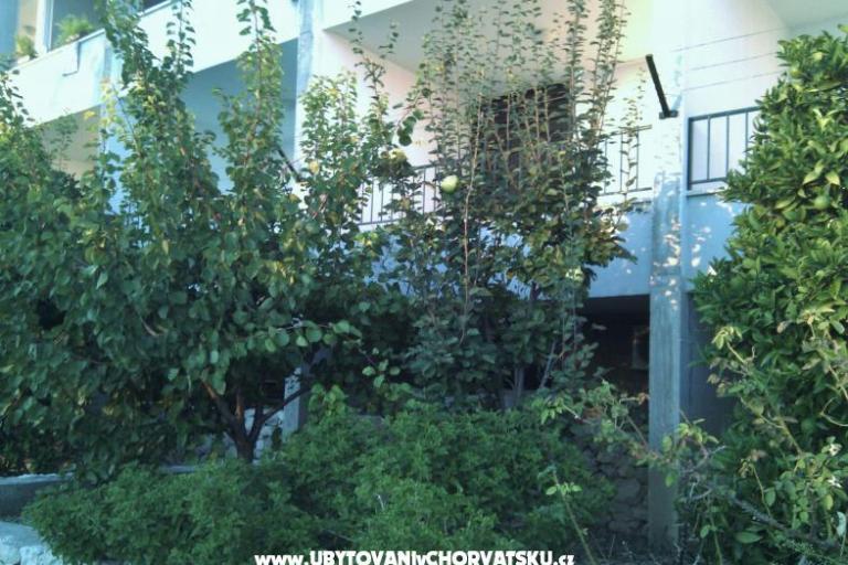 Apartments Brusje – photo 3