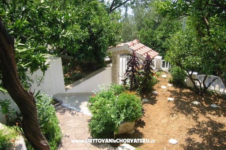 Apartments Marinovic – photo 7