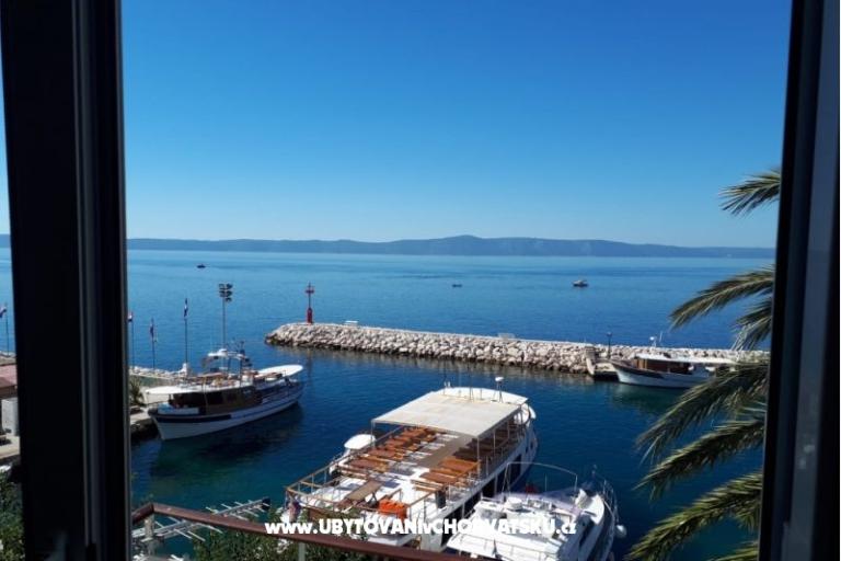 Palm tree apartman – photo 6