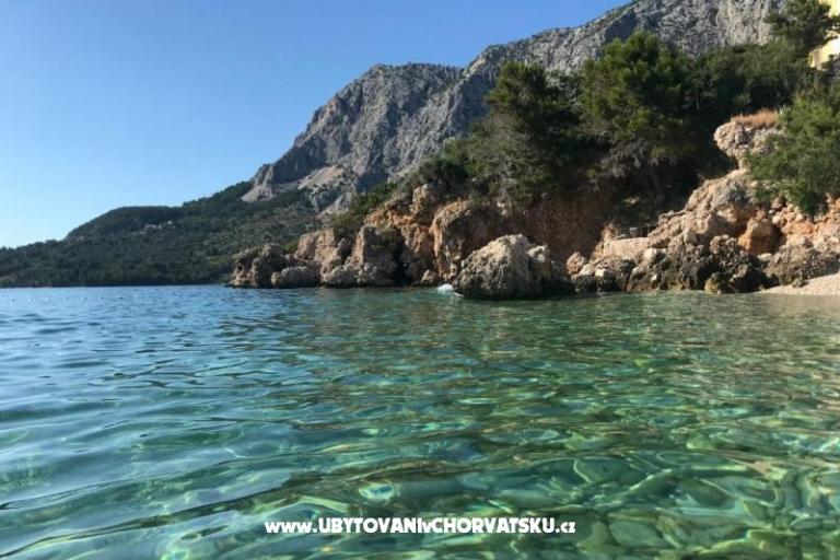 DRAŠNICE Villa Danica – photo 8