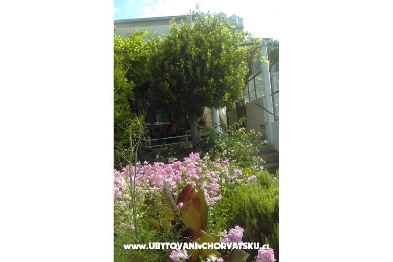 Apartment Adria – photo 10