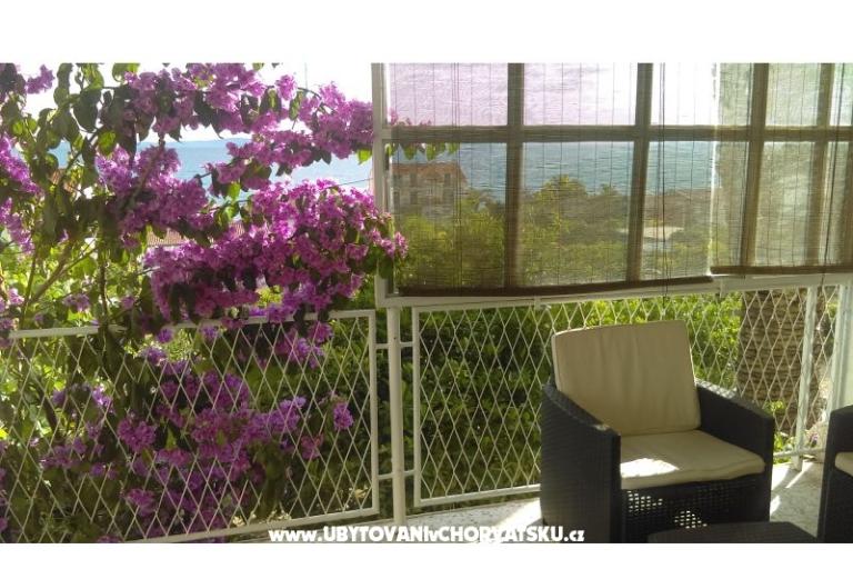 Apartment Adria – photo 13