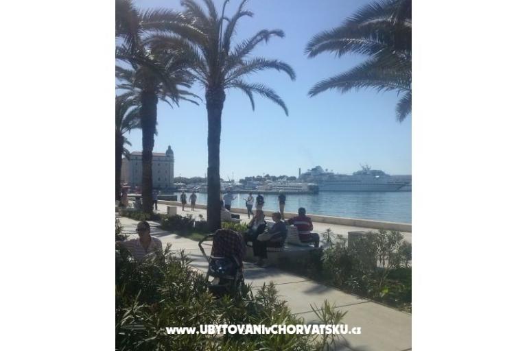 Apartments Dana – photo 10