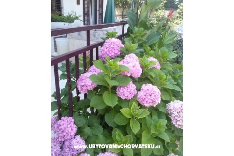 Apartments Dana – photo 11