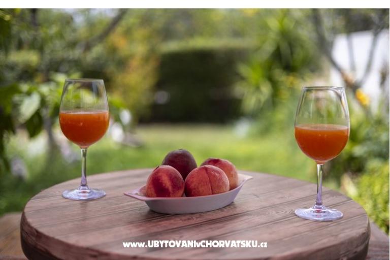 Apartments Jakovac – photo 7
