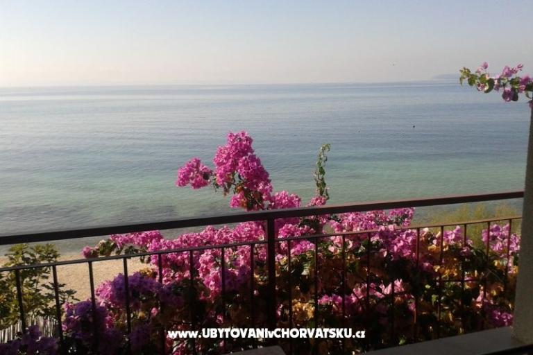 Apartments Jure – photo 13