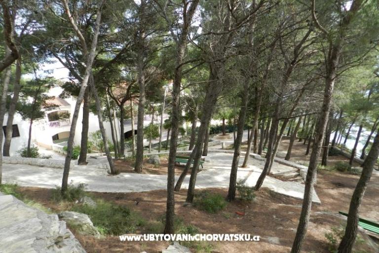 Apartments Lavica – photo 6