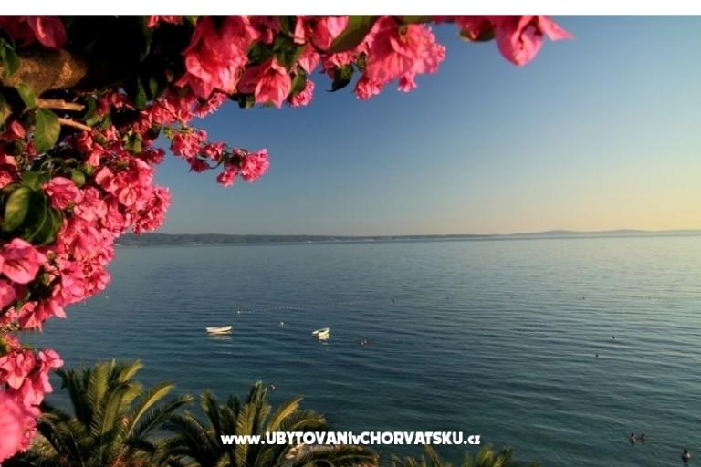 Apartments Palme – photo 11