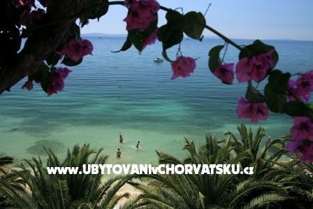 Apartments Palme – photo 3