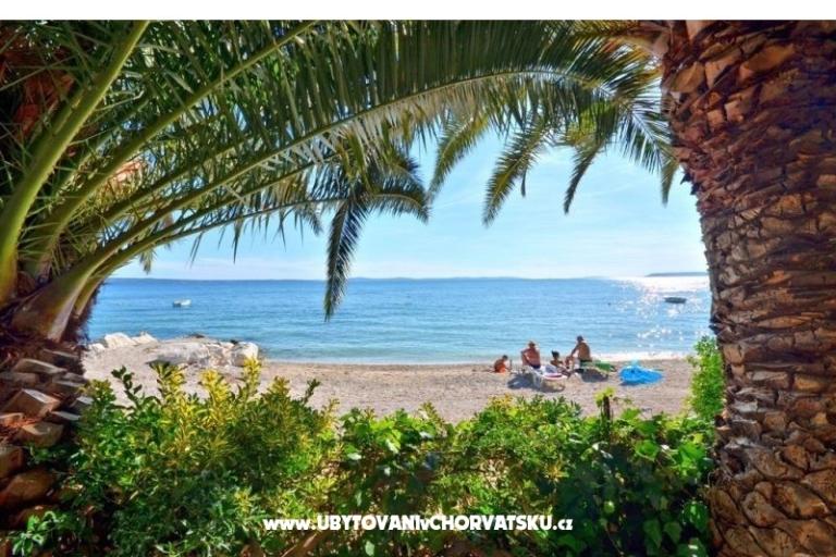 Apartments Palme – photo 4