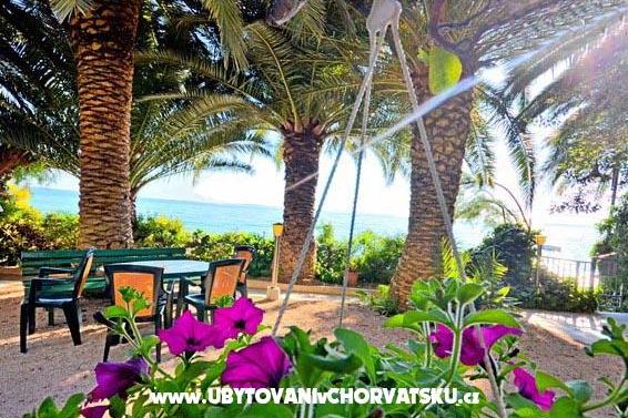 Apartments Palme – photo 9