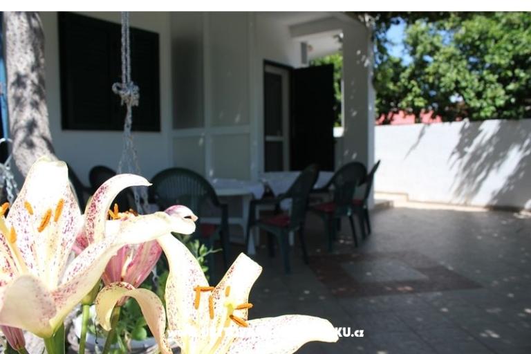 Apartments SARA – photo 9