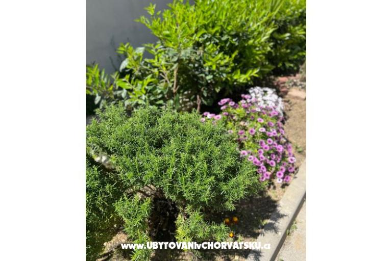 Apartment lux with garden – photo 24