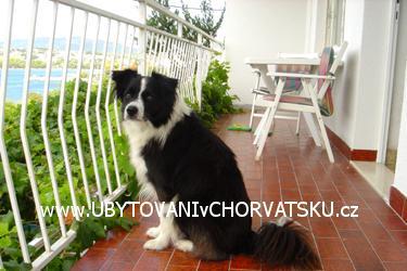 Jadrankas apartment – photo 7