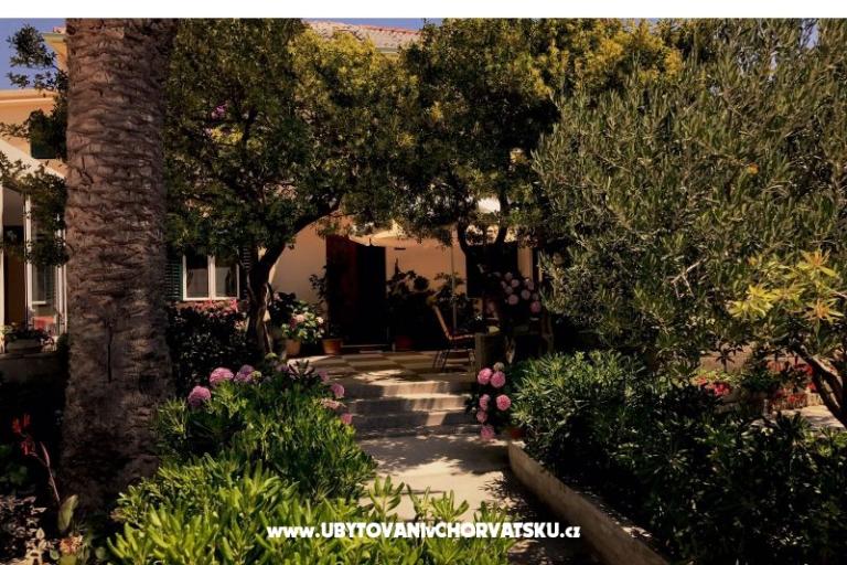 Apartments &amp; Rooms Tomas – photo 6