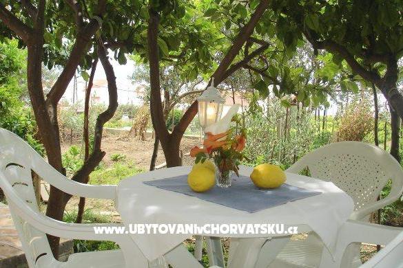 Apartments Bougainvillea – photo 2