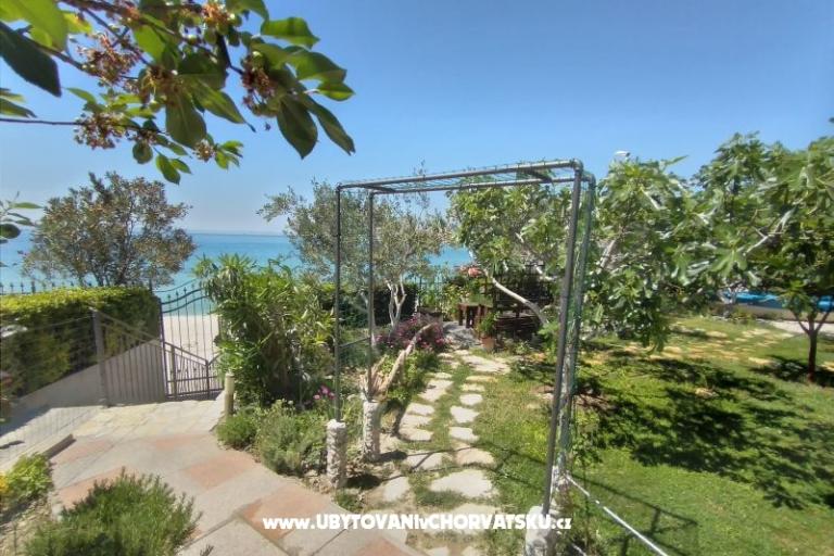 Apartments Cappuccino   – photo 14