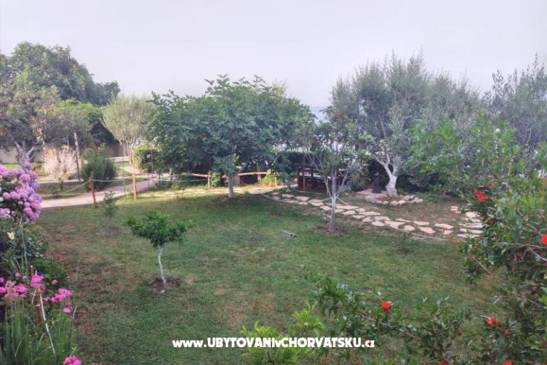 Apartments Cappuccino   – photo 7