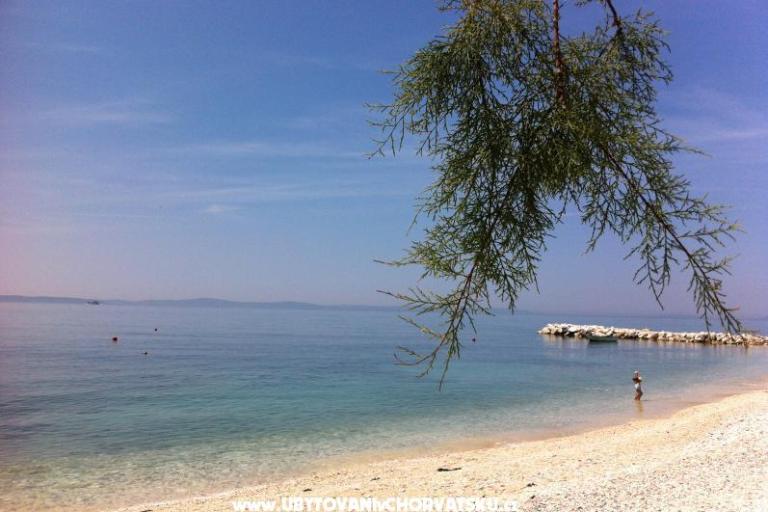 Apartments CAR – photo 3