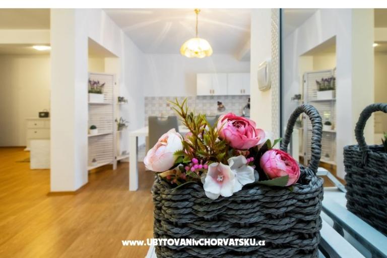 Apartments Dane – photo 8