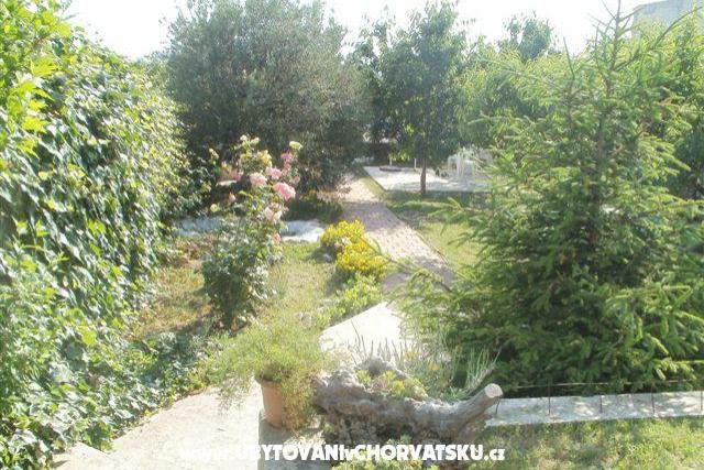 Beach Apartments Toni – photo 3