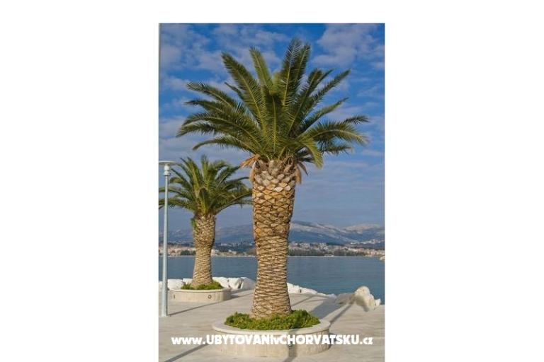 Big apartman for large groups – photo 14