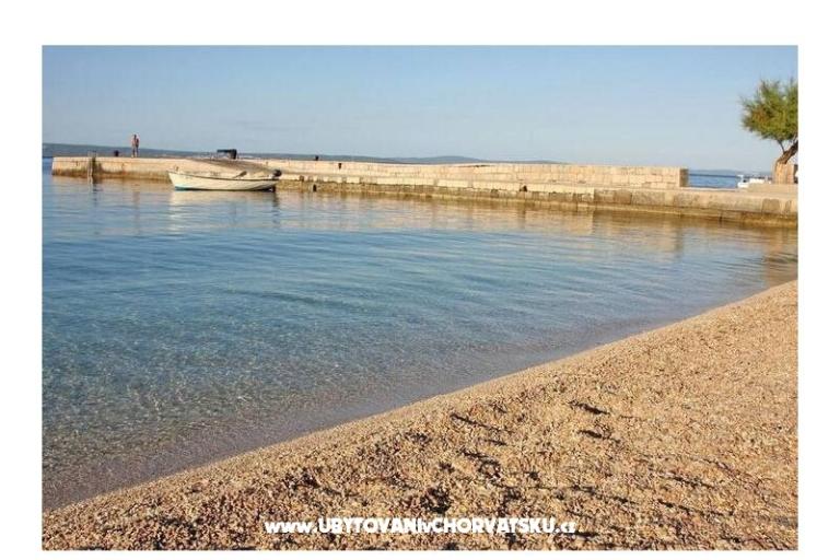 Carso Olea – photo 5