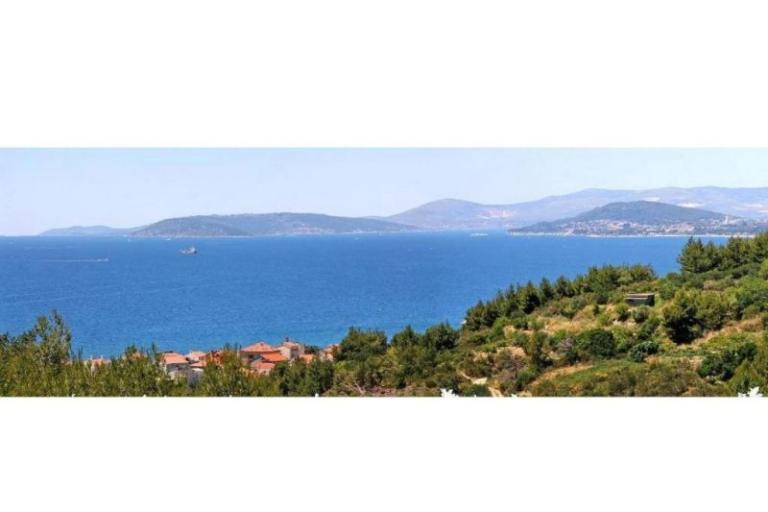 Carso Olea – photo 6