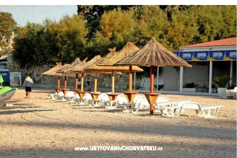 Carso Olea – photo 7