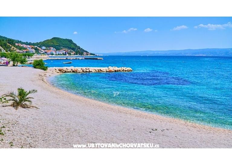 Carso Olea – photo 9