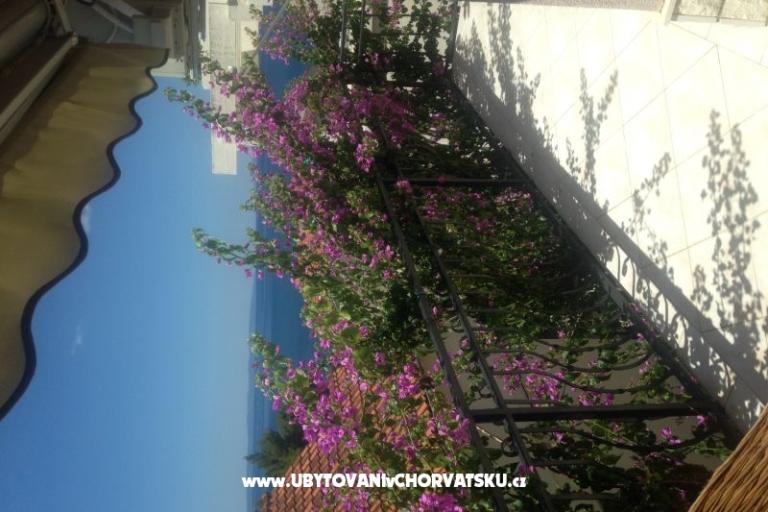 Apartment Gusic – photo 12