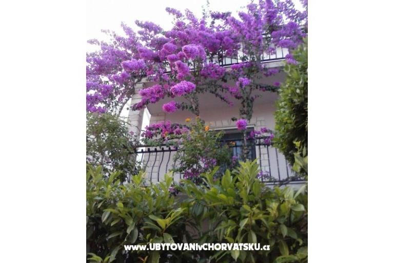 Apartment Gusic – photo 8