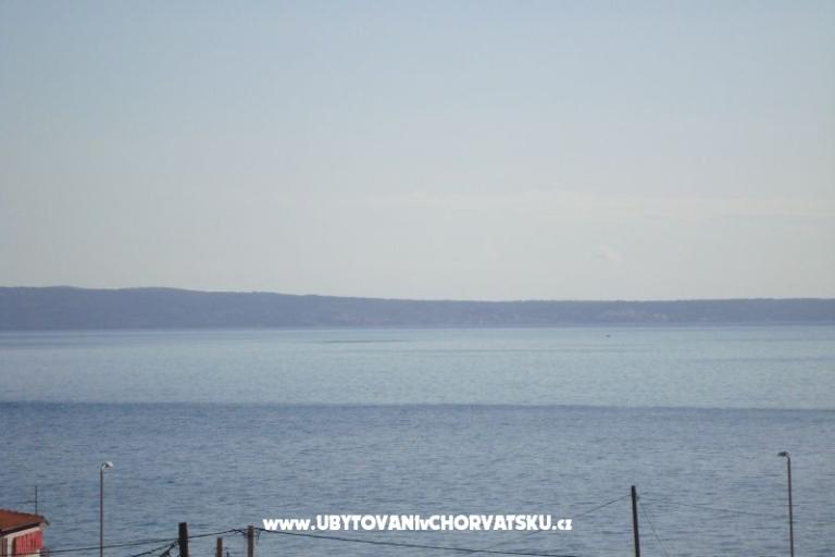 Vice – photo 7