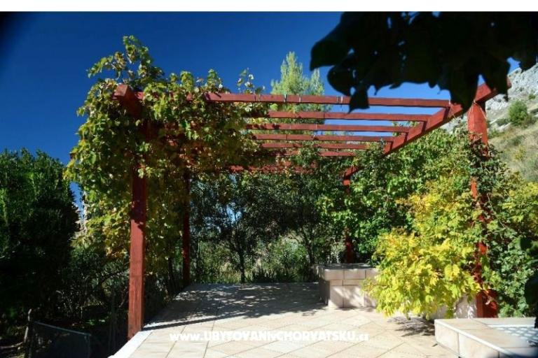 Villa Aquarius – photo 14