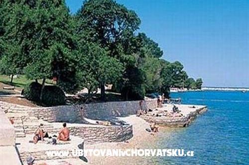 Apartment Dragica – photo 15