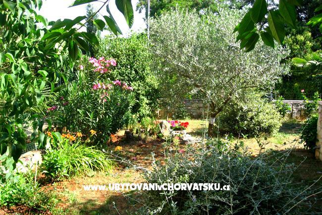 Apartment Nadia – photo 14