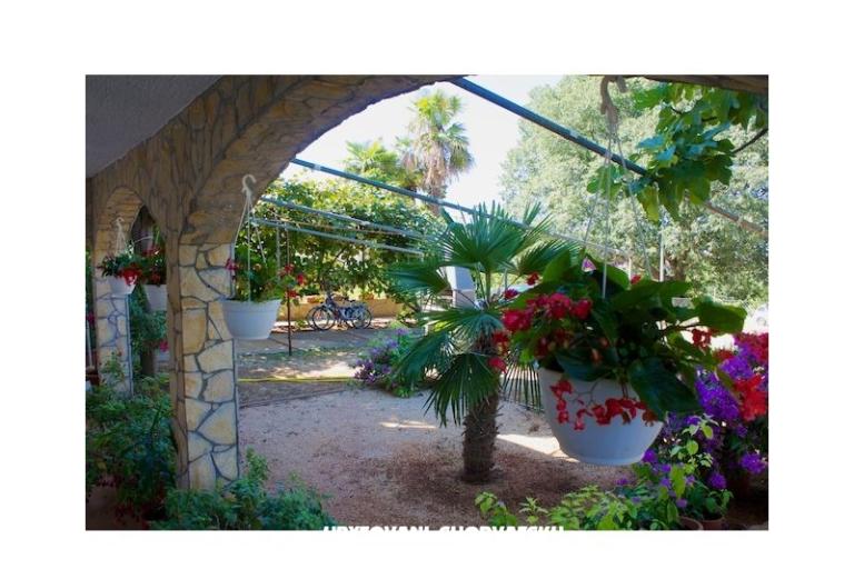 Apartments Milanović  Poreč – photo 16