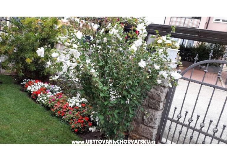 Apartments Dragica! – photo 24