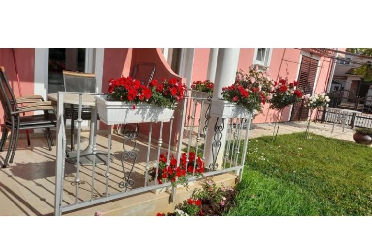 Apartments Dragica! – photo 26