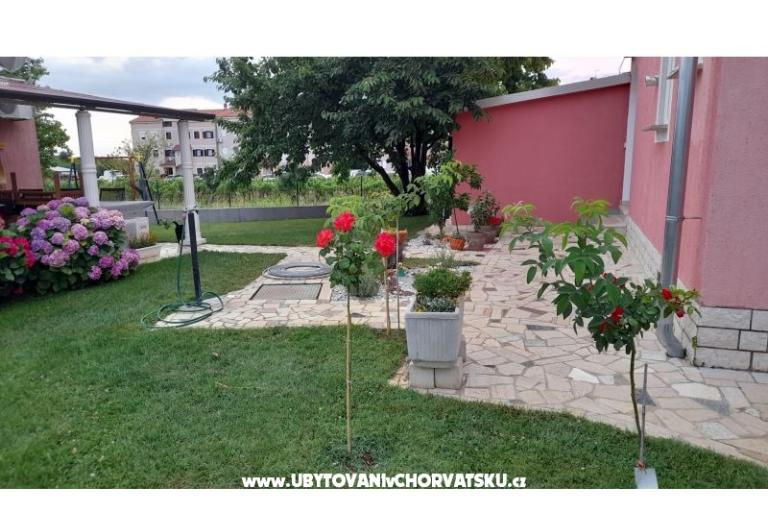 Apartments Dragica! – photo 4