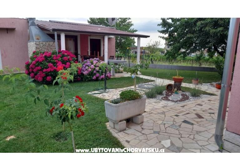 Apartments Dragica! – photo 5