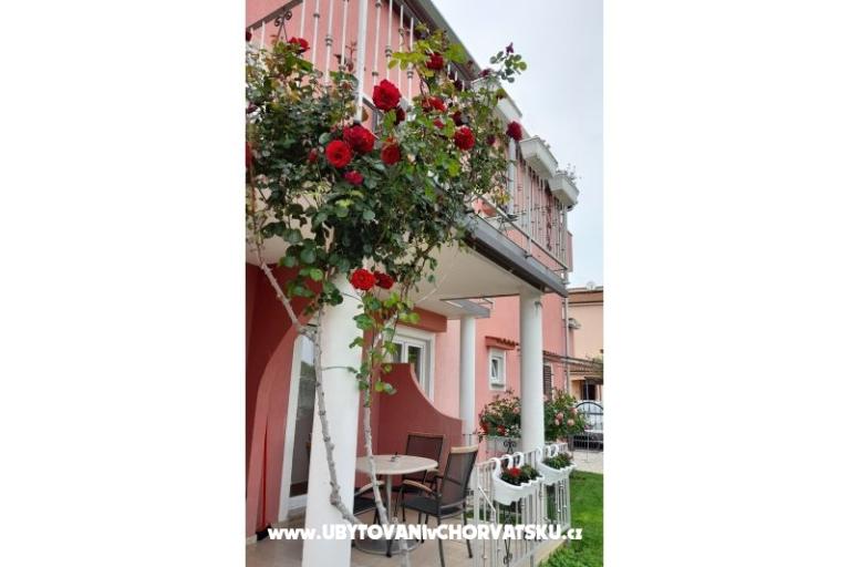 Apartments Dragica! – photo 6